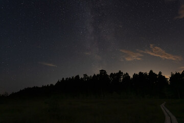 Fototapeta premium Milky way and stars over forest and Pikanomme observation tower. Estonian nature. Astrophotography.