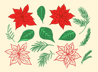 Poinsettia flower, set of hand drawn vector illustrations, sketch Christmas star