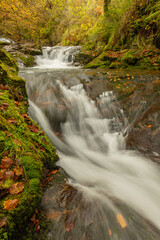 Infierno River waterfalls in autumn, on the Pexanca route, Infiesto, Asturias, Spain