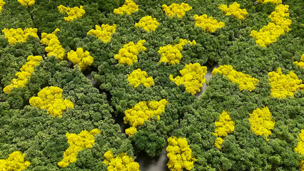 Close-up of preserved reindeer moss in green and yellow shades, used for decoration or interior design, perfect for eco-friendly businesses, green wall projects, and sustainable decor.