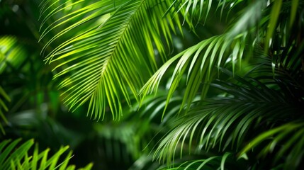 Green Palm Tree Branches Design
