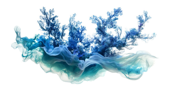 Coral reef and corals transparent background