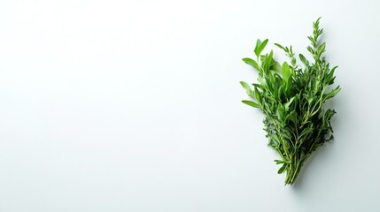 Fresh mixed herbs including basil, rosemary, and thyme.