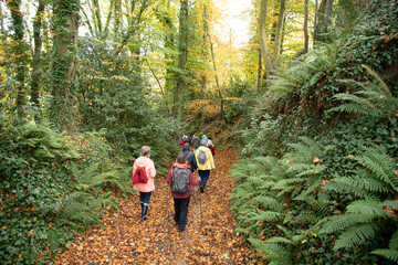Groupe de randonneurs en Bretagne