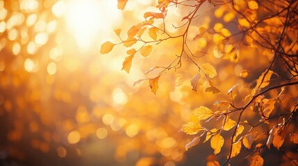 Art autumn sunny nature background, capturing the essence of fall