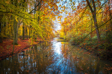River through the forest in autumn