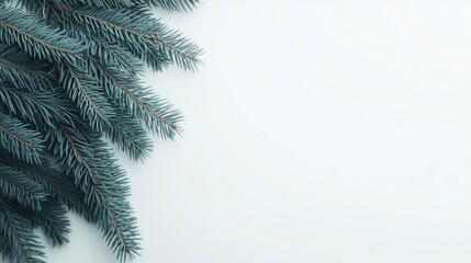 Obraz premium Winter Wonderland: A Fresh Fir Branch on a Snowy Background