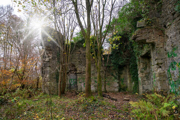 Dams to Darnley Country Park. Ruin of Waulkmill Glen. Appears on a map of 1852 as a roofless ruin....