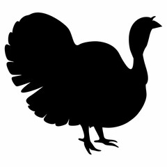 Perfect Roast Chicken
