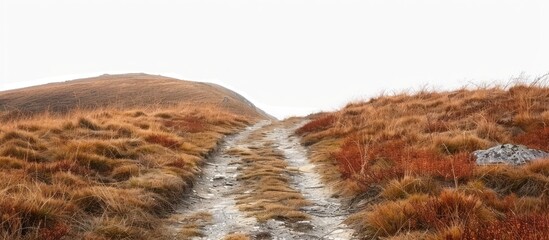 A Path Leading Up a Mountain Ridge