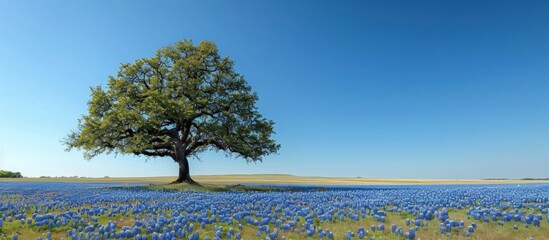 Lone Tree in a Field of Bluebonnets