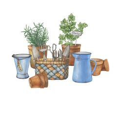 Ceramic pots with culinary herbs- rosemary, parsley. Vintage garden scissor, pruning shear, trowel, rake in basket and old blue enamel water pitchers. Hand drawn watercolor illustration isolated