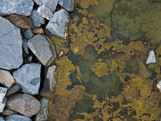 Aerial top down closeup of beach breakwater in Mediterranean Sea along Costa Brava in Palamos