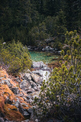 Autumn in the mountains