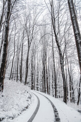 Winter in the mountains