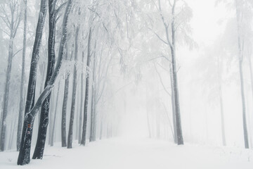 Fototapeta premium Winter in the mountains