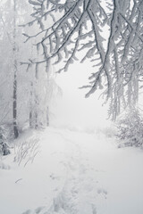 Winter in the mountains