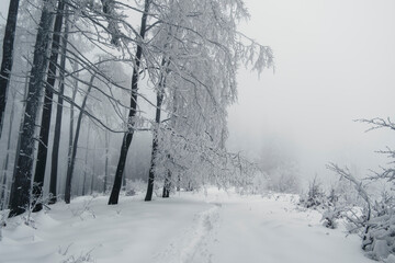 Winter in the mountains
