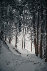 Winter in the mountains