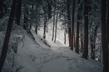 Winter in the mountains