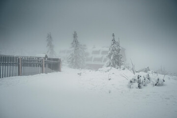 Winter in the mountains