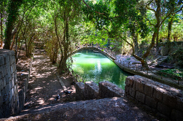 Green river in Rodini park in Rhodes (Rhodes, Greece)