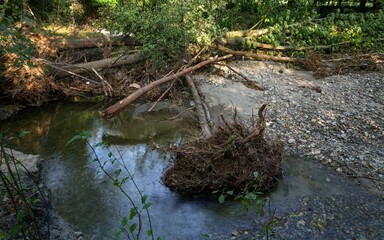 Fallen trees in the river after the flood. Juhyne. Czechia.