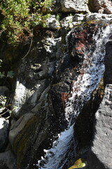 Waterfall in the forest
