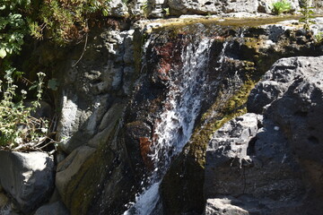 Waterfall in the forest