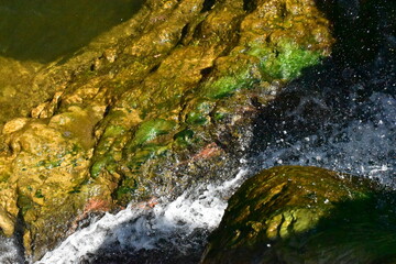 Waterfall in the forest