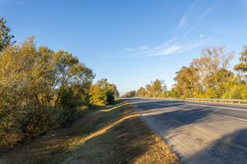 Road with trees on either side and a clear blue sky