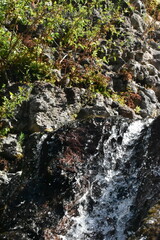 Waterfall in the forest