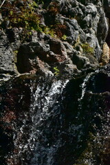 Waterfall in the forest