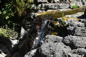 Waterfall in the forest