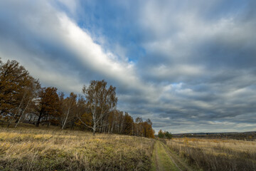 A field with trees and a cloudy sky