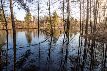 Obraz premium Body of water with trees in the background