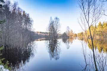Calm lake with trees in the background