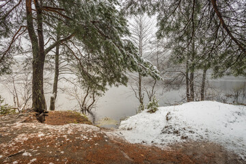 Snowy landscape with a body of water and trees