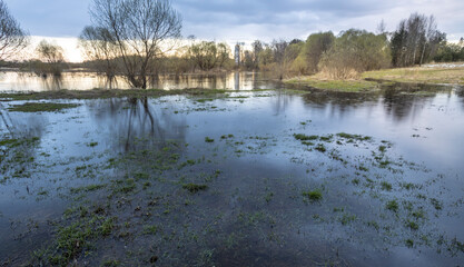 Flooded field with a tree in the middle