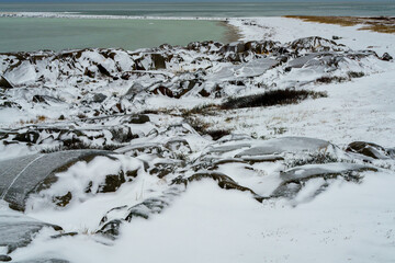 Sub arctic landscape on the frozen tundra of Churchill manitoba canada