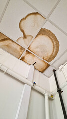 Water damaged ceiling tiles with brown marks