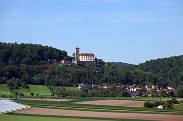 Fototapeta premium Burg Guttenberg am Neckar