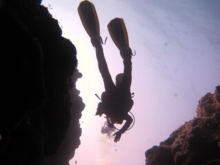 Scuba Diver 