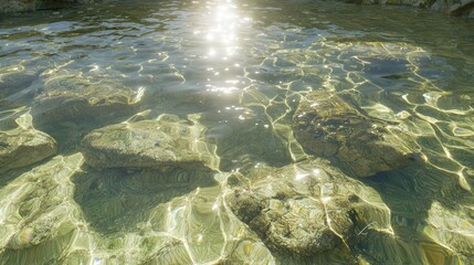 Fossilized Wonders: 3D Render of Cambrian Tidal Pool Teeming with Marine Life in Sunlit Waters
