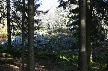 Bubenbader Stein in der Rhoen