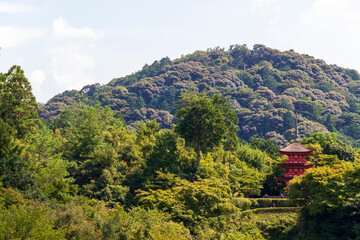 Temple of the water