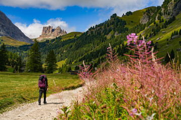 Fototapeta premium Summer sunny landscape of Val Duron in the Dolomites, Campitello di Fassa, Italy, Europe