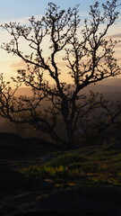 Vancouver Island, BC, Canada