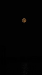 Vancouver Island, BC, Canada