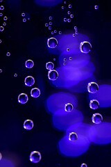 炭酸水の泡の形状